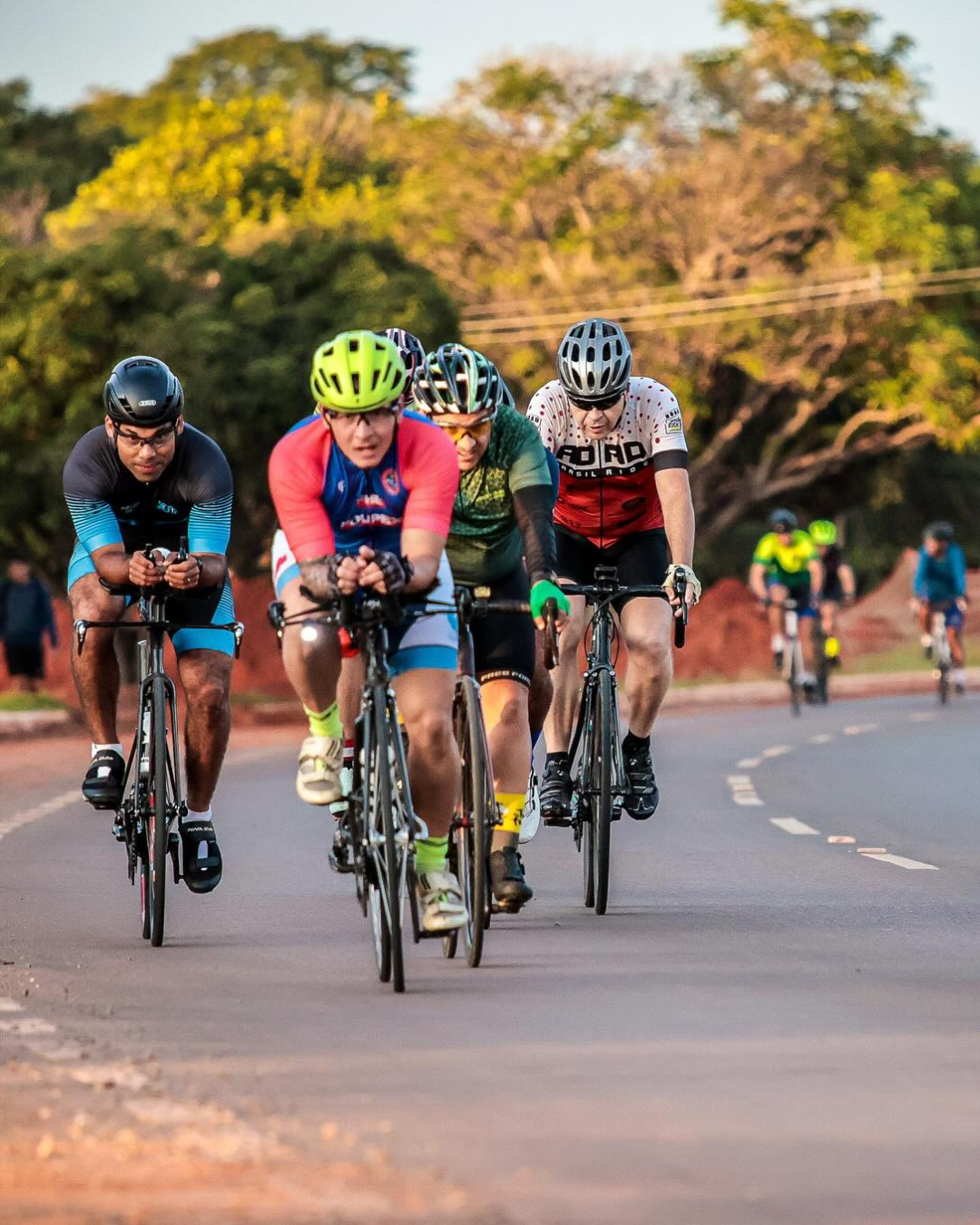 Tri Life - Atividade 6